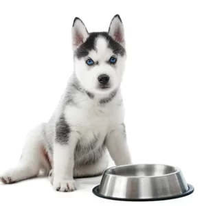 Michela-Pettorali_Nutrizione-Veterinaria-Home-mobile